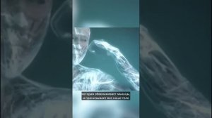 Как сесть на шпагат без боли и травм? #шпагат #растяжка #стретчинг #каксестьнашпагат