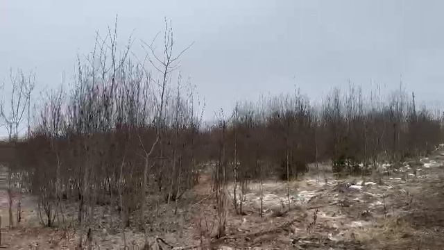 ЗУ :1422 д. Новая смотреть онлайн