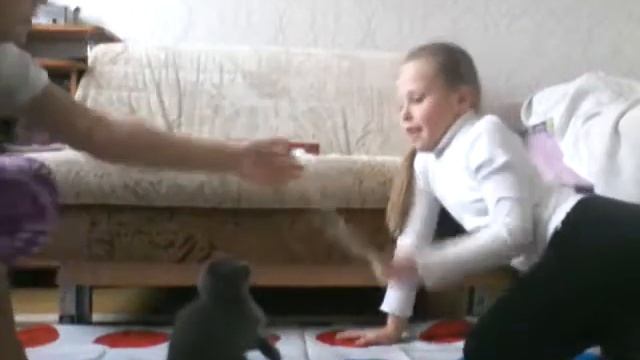 Твистер