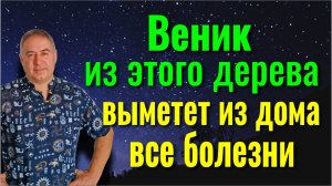 Изгняет все хвори и негативы - принеситек в дом этот веник. Шаманский метод чистки от болезней
