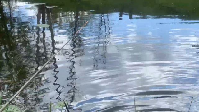 Линь 2023 май смотреть онлайн