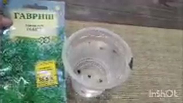 Аспарагус. (начало)