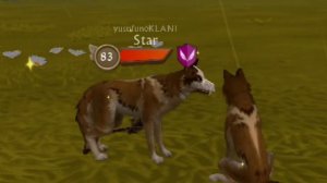 ☠️| СОБИРАЕМ ТЫКВЫ В ВАЙЛД КРАФТ! |🎃