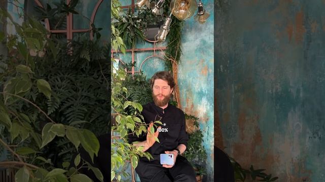 Перейти на 100% фрукты