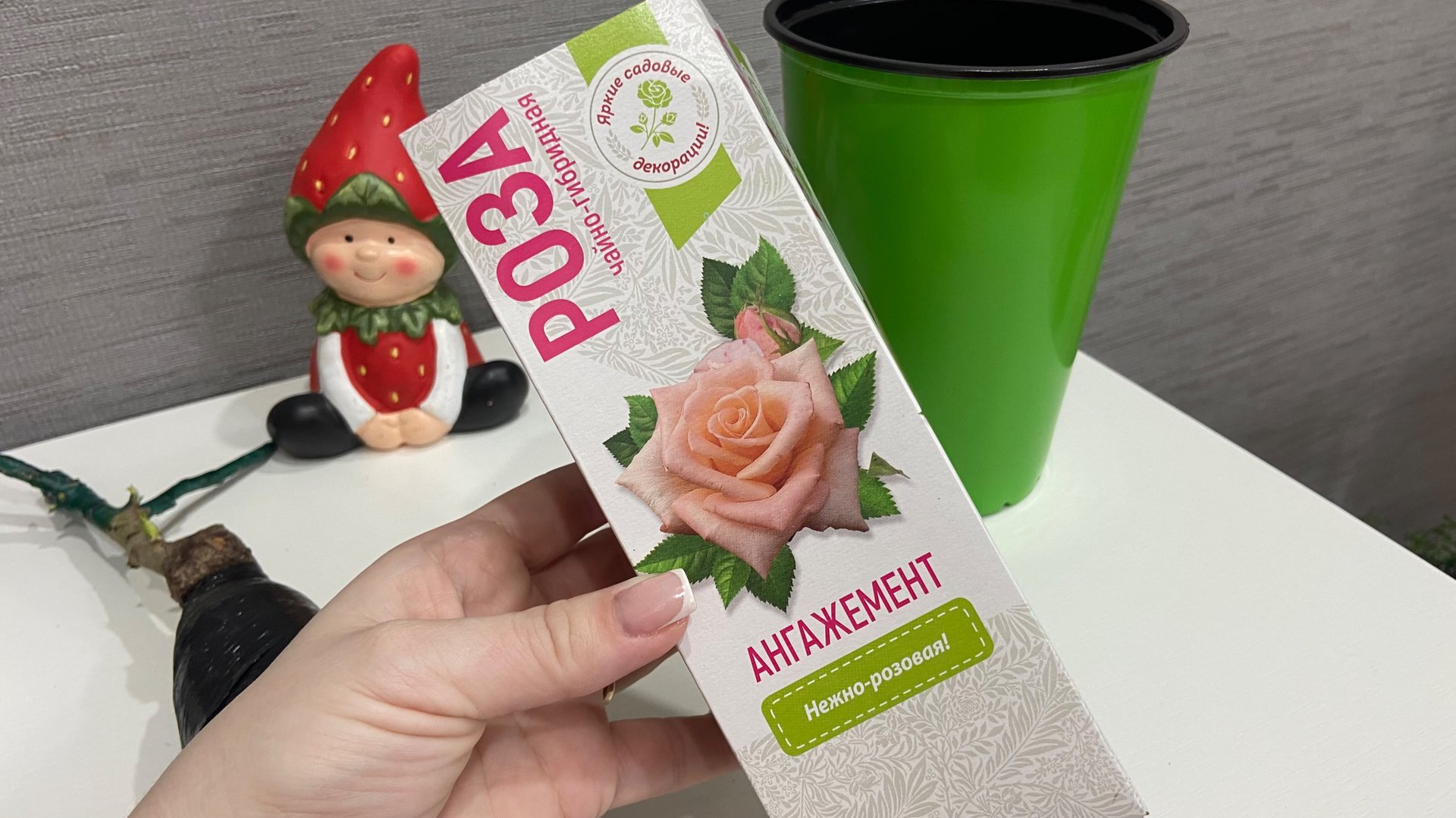 Купила розу в Фикс Прайсе. смотреть онлайн