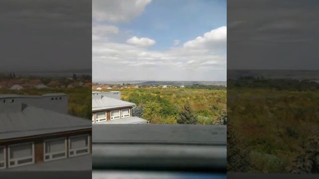 тутовый сад смотреть онлайн