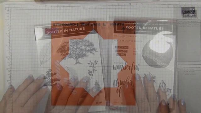 463 15 06 18 FF Rooted in Nature Stamparatus Wreath Stamping смотреть онлайн