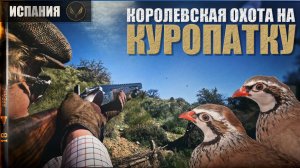КОРОЛЕВСКАЯ ОХОТА | ОХОТА НА КУРОПАТКУ | ИСПАНИЯ | ОХОТА С ДЕНИСОМ МОРОЗОВЫМ