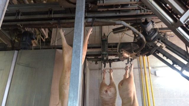 Участок обескровливания