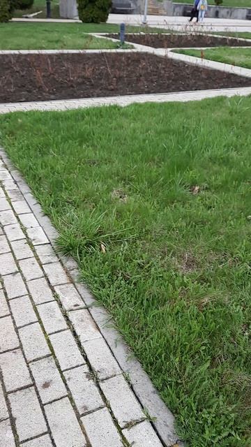 2021-04-19 10-35-00 смотреть онлайн