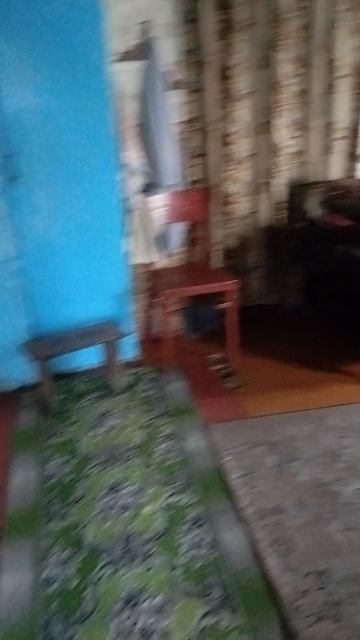 приехали в гости к бабушке Ядвиге