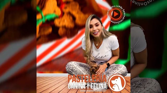 Pasteleria canina y felina - perros - gatos - comida para perros #short #shorts смотреть онлайн