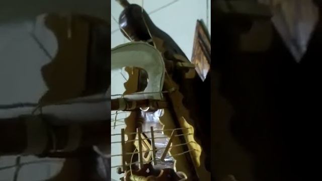 Public agent смотреть онлайн