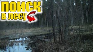 Необычно-интересный поиск в лесу по древности с металлоискателем!