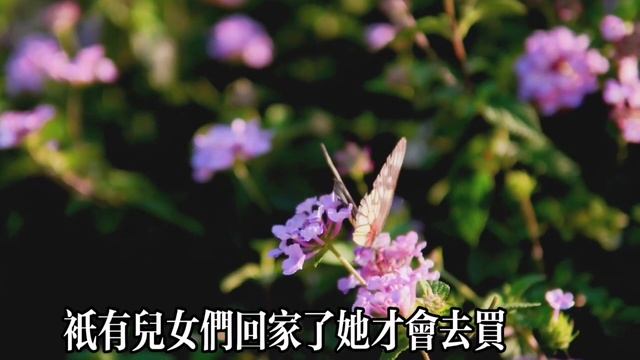 我56歲和60歲姐姐搭伴養老，才半年就散夥，不計較錢也沒法一起過！