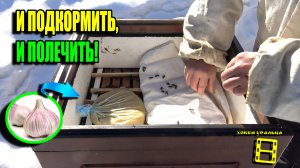 ПЕРВАЯ ЛЕЧЕБНАЯ ПОДКОРМКА ПЧЕЛ С ЧЕСНОКОМ ПОЛУЧИЛАСЬ ДО ОБЛЕТА. ПЧЕЛОВОДСТВО 25-11