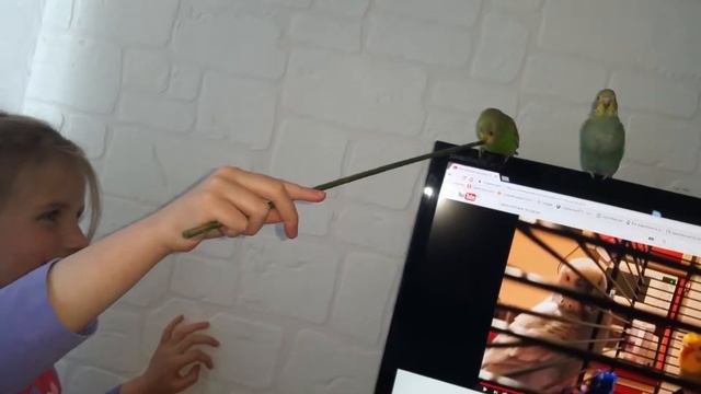 сердечко и цветочек смотреть онлайн