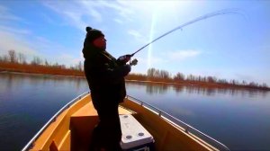 РЫБАЛКА КОТОРУЮ НЕ ЗАБЫТЬ! Судаки и щуки загибают спиннинг Астраханская рыбалка
