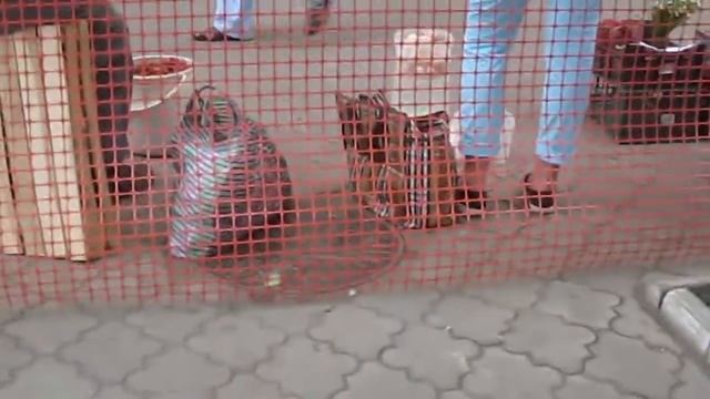 Когда у нас еще были куры. Почти каждый день продавали яйца. смотреть онлайн