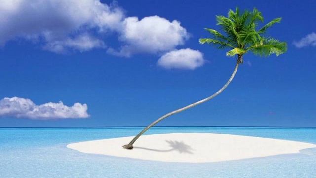 Windows ZONE (Windows × RED ZONE) смотреть онлайн