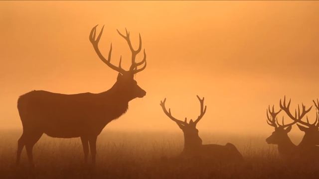 СЕВЕР. Филиппов Евгений Филиппова Мария смотреть онлайн
