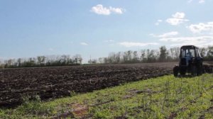 Дискование поля МТЗ-80.1 с тяжелой бороной БДТ-7(без крыльев)в том числе трудного пырейного участка.