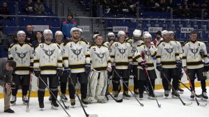 Турнир по хоккею с шайбой среди силовиков стартовал в Новосибирске