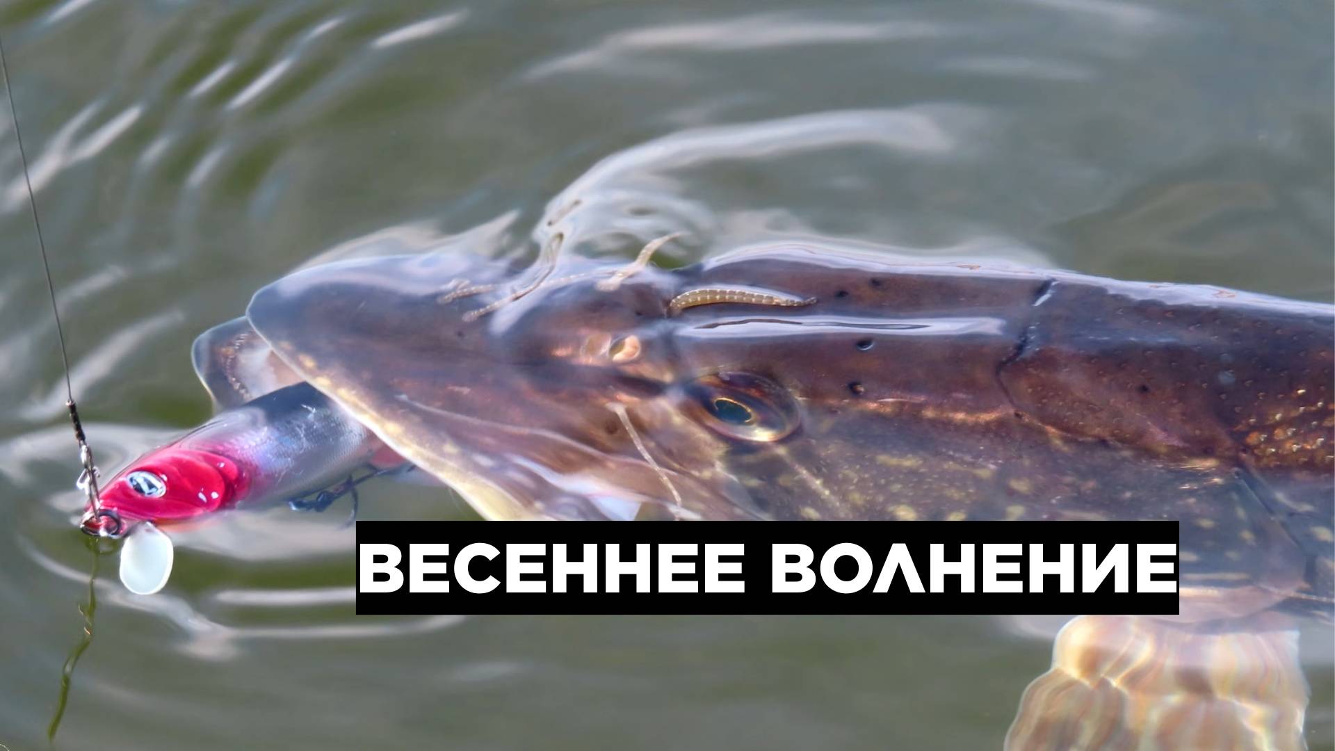 ВЕСЕННЕЕ ВОЛНЕНИЕ 2021: ТРИ НЕЗАБЫВАЕМЫХ ДНЯ СПИННИНГОВОЙ РЫБАЛКИ НА ЩУКУ смотреть онлайн