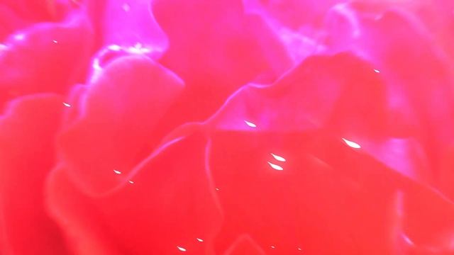 Слайд-шоу 3D в After Effects | slide_show 3d смотреть онлайн