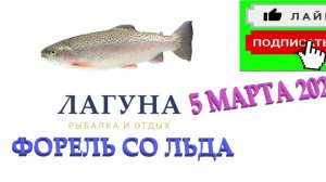 ОЗЕРО ИГУМНОЕ ФОРЕЛЬ ВЫБИРАЕТ РЫБАКА