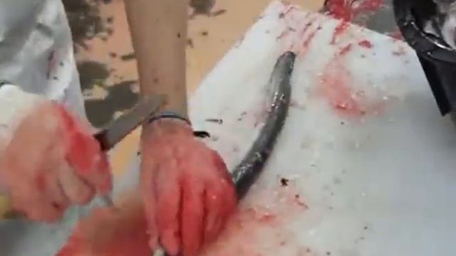 Nagoyasaki - нож для угря смотреть онлайн