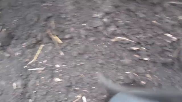 Самодельная универсальная овощная сажалка. Показываем в работе. смотреть онлайн