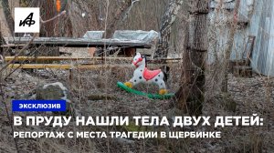 В пруду нашли тела двух детей: репортаж с места трагедии в Щербинке