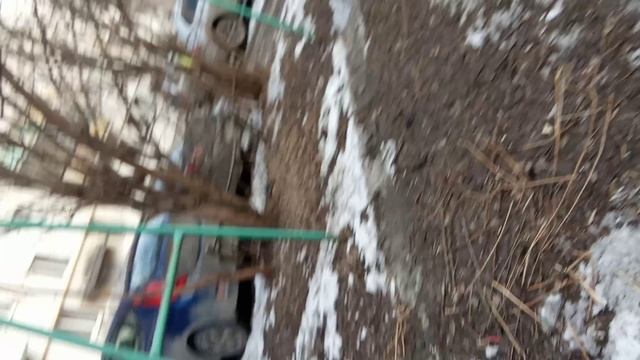 срочно посмотрите, поднимет настроение!! смотреть онлайн