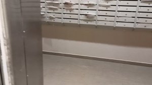 Грузопассажирский, пассажирский лифт V=1 м-с, Q=400, 1000 кг (4795), музыкальный лифт КМЗ