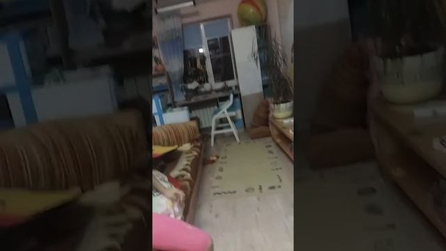 Гимнастика + лайк😍 смотреть онлайн