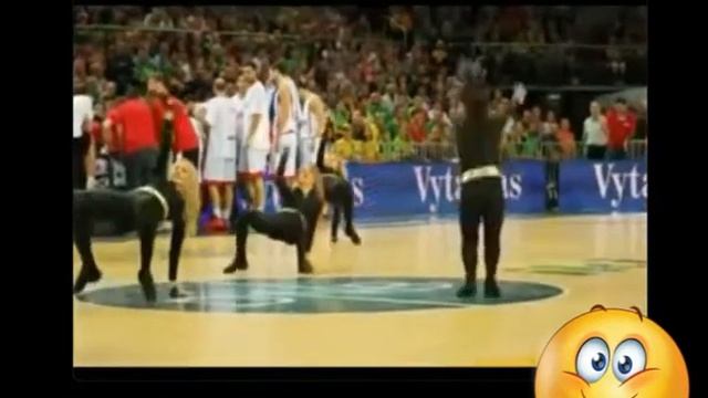 Спортивные девочки! Шпагаты и наклоны смотреть онлайн