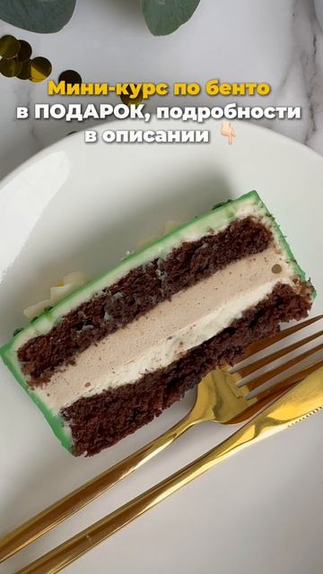 Получите в ПОДАРОК курс по бенто на бесплатном вебнаре! смотреть онлайн