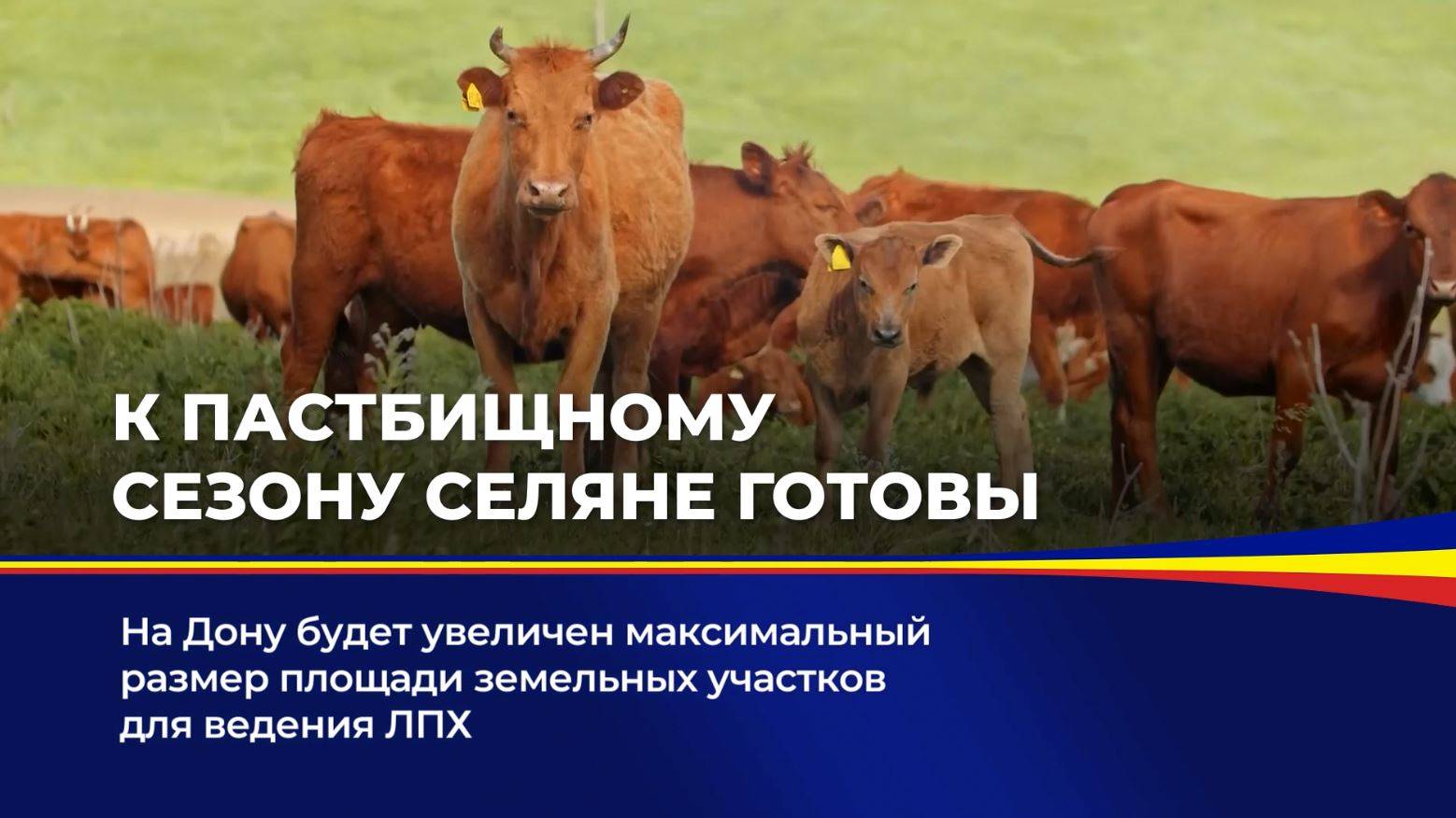 К пастбищному сезону селяне готовы смотреть онлайн