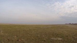 Ловля понцами- полный отчёт по ловле джурбая