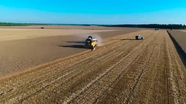 Кубань. Уборка пшеницы. смотреть онлайн