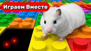 Лабиринт для хомяка ! Умный Хомяк попал в НОВЫЙ МАЙНКРАФТ лабиринт с ловушками !