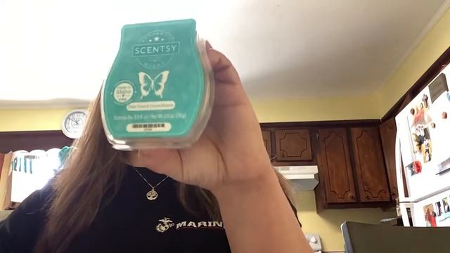 Best Of The Best Of Scentsy Scents