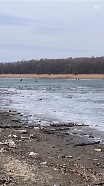 ОГРОМНЫЕ РЫБЫ НА ЛЬДУ. смотреть онлайн