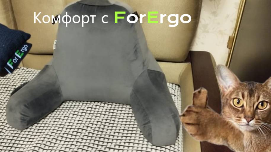 Обзор на изделие от ForErgo