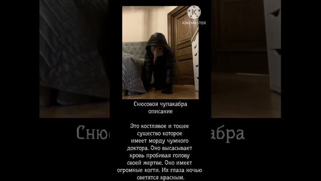 опасные виды снюсоедов часть 1 смотреть онлайн