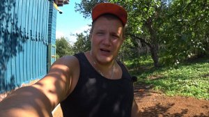 Виноградник с шагом в наше будущее, главное сделать первый шаг