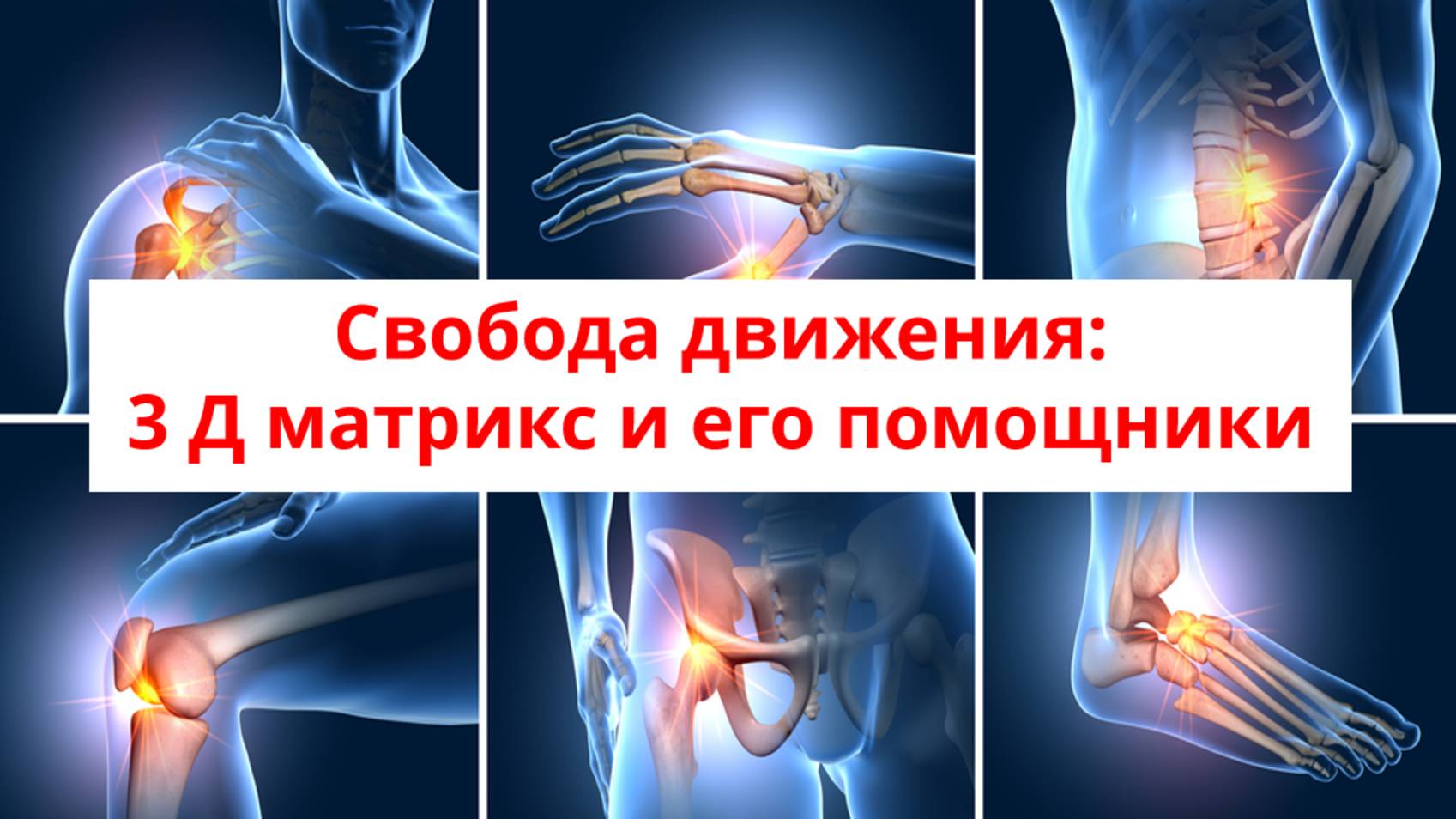 Свобода движения: 3 Д матрикс и его помощники