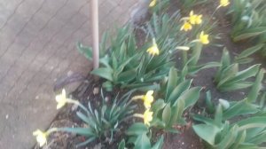 VID_20250320_102415.mp4