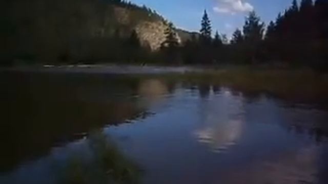 Инзерские зубчатки 5 августа 2014 смотреть онлайн